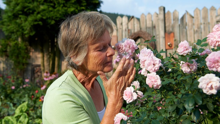Lene duftet an Rosen