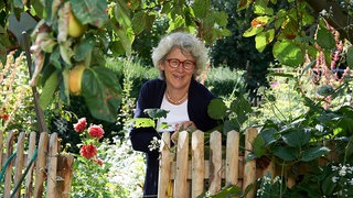 Ute Brehm
