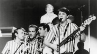 The Beach Boys