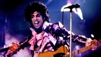 Prince