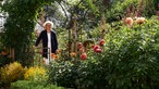 Ute Brehm an ihrer Gartenpforte. 