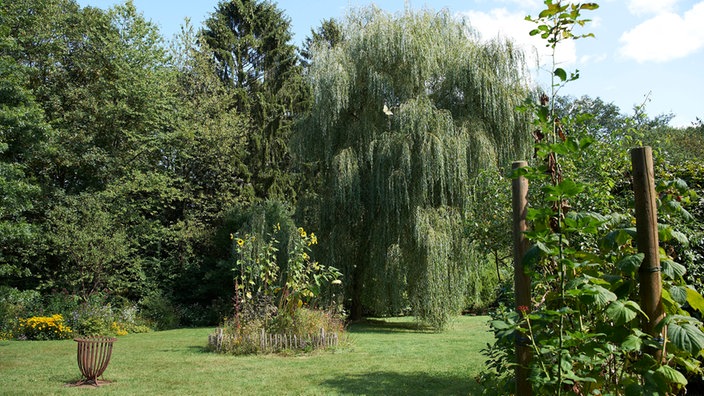 Gartenansicht von Ute Brehm.