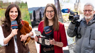 Stärker, schneller, näher dran: Der WDR setzt Fokus auf digitale Information aus der Region