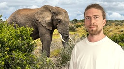 Auf dem Bild sieht man Sarazar vor einer südafrikanischen Landschaft.