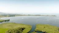 Das Naturschutzgebiet am Bodensee dient als Brut- und Rastplatz für über 300 Vogelarten 