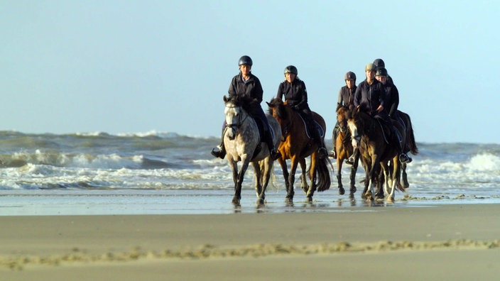 Eine Reitergruppe reitet am Strand entlang 