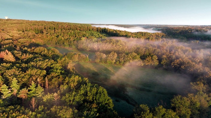 Luftaufnahme des Waldnationalparks Morvan
