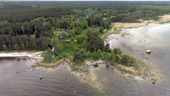 Luftaufnahme der bewaldeten Küste mit kleinen Buchten im Lahemaa-Nationalpark