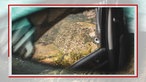 Blick durch ein Autofenster auf Weinberge