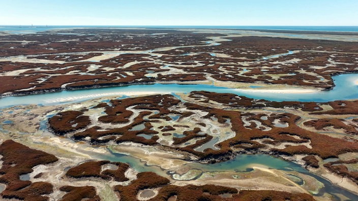 Blick von oben auf die Ria Formosa, ein Labyrinth aus Kanälen, Sandbänken und Salzmarschen