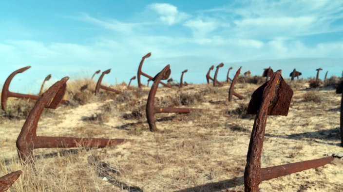 Viele rostige Schiffsanker sind auf einer sandigen Fläche aufgereiht