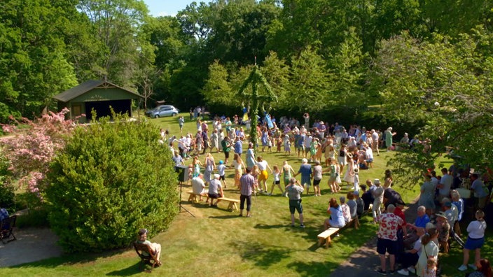 Viele feiernde Menschen auf einer Wiese inmitten von Bäumen