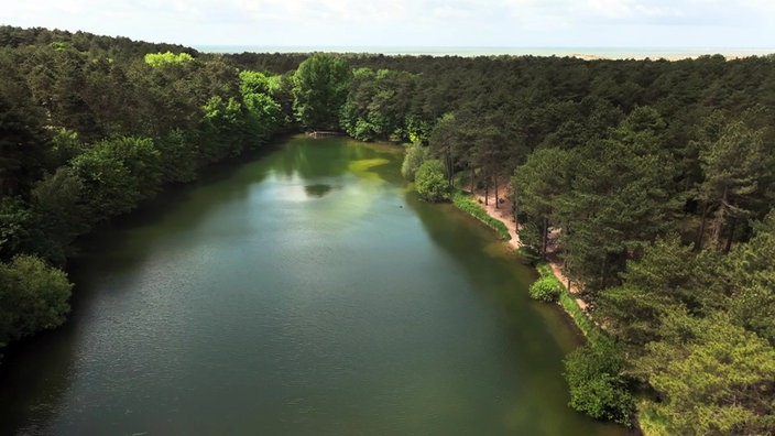 Blick von oben auf einen kleinen See inmitten von Wald