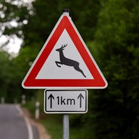 Ein rotes "Achtung Hirsch"-Schild ist aufgestellt. Im Hintergrund sieht man ein fahrendes Auto.