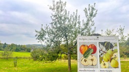 Ein Schild am Wegesrand des Obstwegs Leichlingen in NRW
