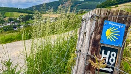 Emblem des Wanderwegs "Sauerland-Camino" am Rande des Wanderweges