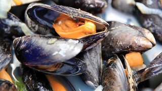 Geöffnete Miesmuscheln