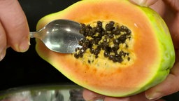 Papaya