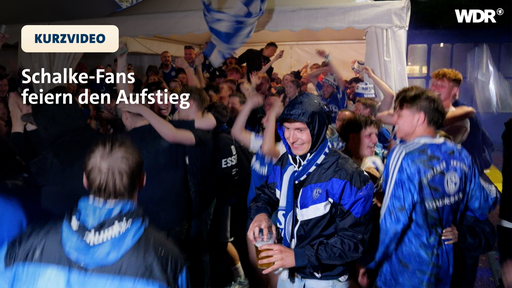 Schalke-Fans feiern den Aufstieg