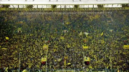 Wir die Wand
