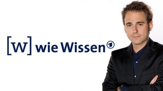 W wie Wissen