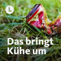 Nahaufnahme einer verwitterten Dose auf einer Weidefläche.