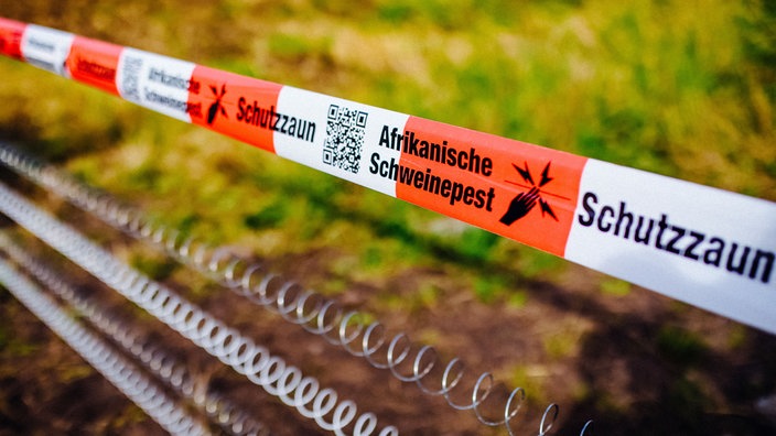 Auf einem gespannten Flatterband stehen die Worte "Schutzzaun" und "Afrikanische Schweinepest". Darunter befindet sich der Schutzzaun.