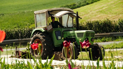 Ein grüner Traktor fährt über ein Feld, im Vordergrund sieht man rote und gelbe Tulpen