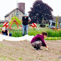 Zwei Frauen hocken auf dem Mietgarten-Feld in Dortmund, hinter ihnen steht ein Mann.