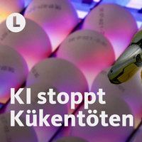 Bunt angeleuchtete Eiern. Im Vordergrund ein Roboter, der Küken in der Hand hält.