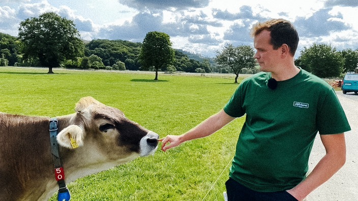 Landwirt Philipp Henk steht neben einer seiner Kühe und streichelt ihre Nase.