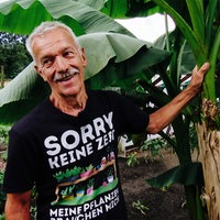 Ein Mann steht vor einer Bananenstaude und hält sie mit einer Hand fest
