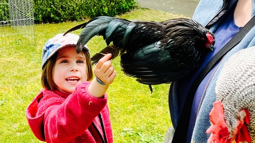 Ein Mädchen streichelt ein Huhn. Sie trägt eine pinke Jacke und eine Kappe.