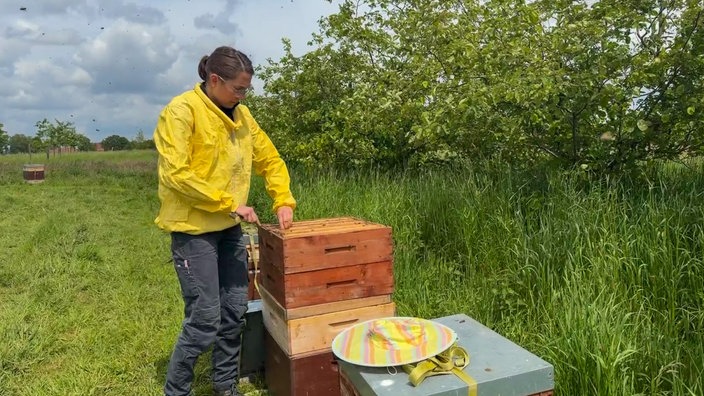 Eine Imkerin steht in Schutzkleidung am Bienenstock und hebt eine Wabe heraus
