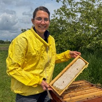 Berufsimkerin Iris van den Bongard steht in gelber Schutzjacke an einem Bienenstock, in den Händen eine Wabe