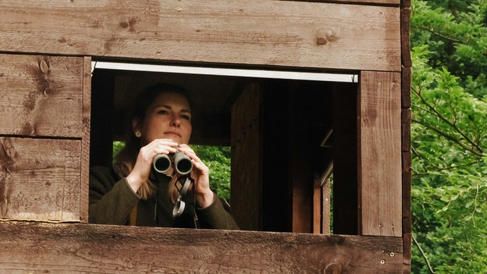 Martina Rohn sitzt in einem Hochsitz. Sie schaut durch eine Öffnung hinaus, ein Fernglas in den Händen.