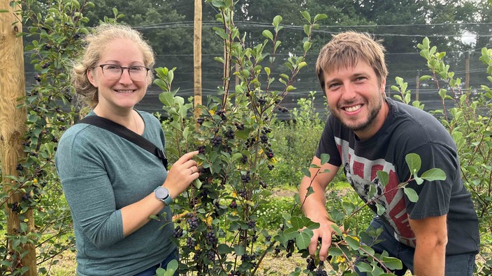 Franziska und Ralph Schulze Mönking stehen neben einem Strauch mit reifen Junibeeren