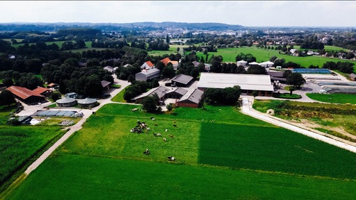 Ein Luftbild von Haus Riswick. Auf einer Wiese stehen Kühe.