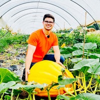 Max Bieger kniet in einem Folientunnel vor einem gelben Riesenkürbis.
