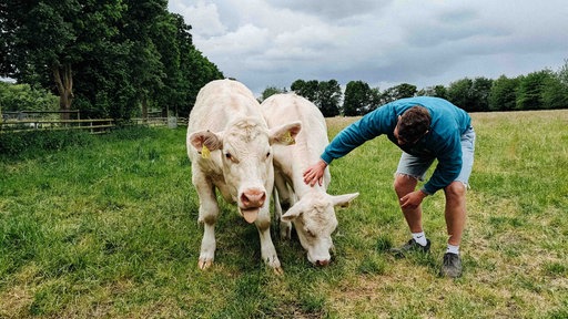 Zwei Kühe stehen auf einer Wiese. Hannes Knickenberg streichelt eine von ihnen.