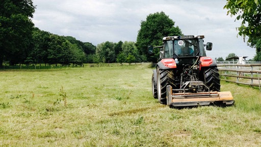Eine große Wiese. Ein Traktor fährt darüber.