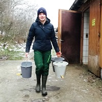 Annika Braach steht neben dem Gatter der Kälbchen und hängt die Eimer zum Trinken an den Zaun.