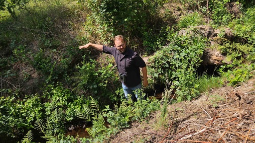 Jan Ole Kriegs steht im Lüntener Wald in einem mannshohen Wassergraben.