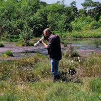 Naturkundler Jan Ole Kriegs im Moor im Lüntener Wald und macht mit einer Kamera mit großem Objektiv ein Foto.