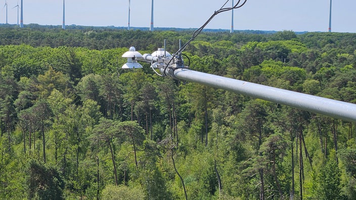 An einem Turm im Lüntener Wald ist in 30 Metern Höhe ein Sensor angebracht.