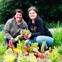 Sandra und Lilli Kreft ernten Mangold von ihrem Beet.