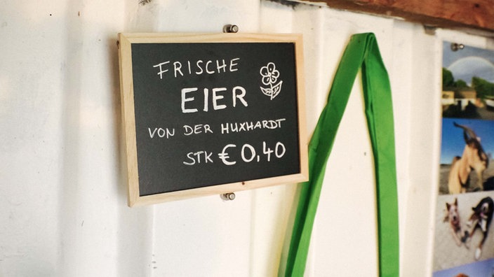 An einer Wand hängt ein Schild mit der Aufschrift "Frische Eier von der Huxhardt STK € 0,40". Am rechten Rand vom Bild sind Bilder von einer Ziege und zwei Hunden und einem Regenbogen.