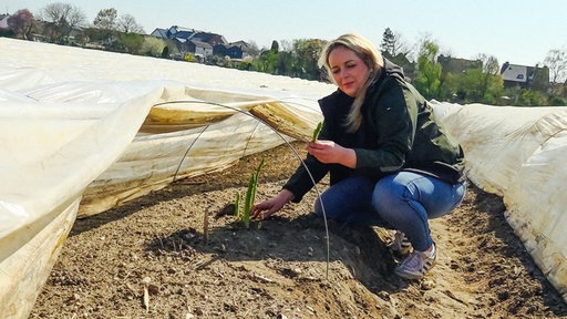 Eine Frau kniet auf einem Spargelfeld, in den Hand hält sie grünen Spargel