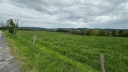 Zu sehen ist die Freifläche am Landringhauser Weg 