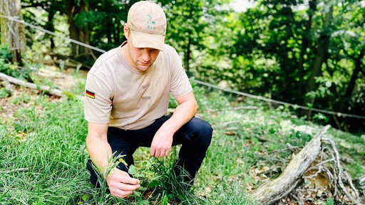 Der Landwirt Torsten Dörmbach kniet in seinem Wald und berührt eine kleine Pflanze.